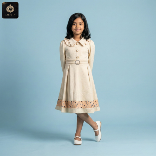 premium winter elegance long frock